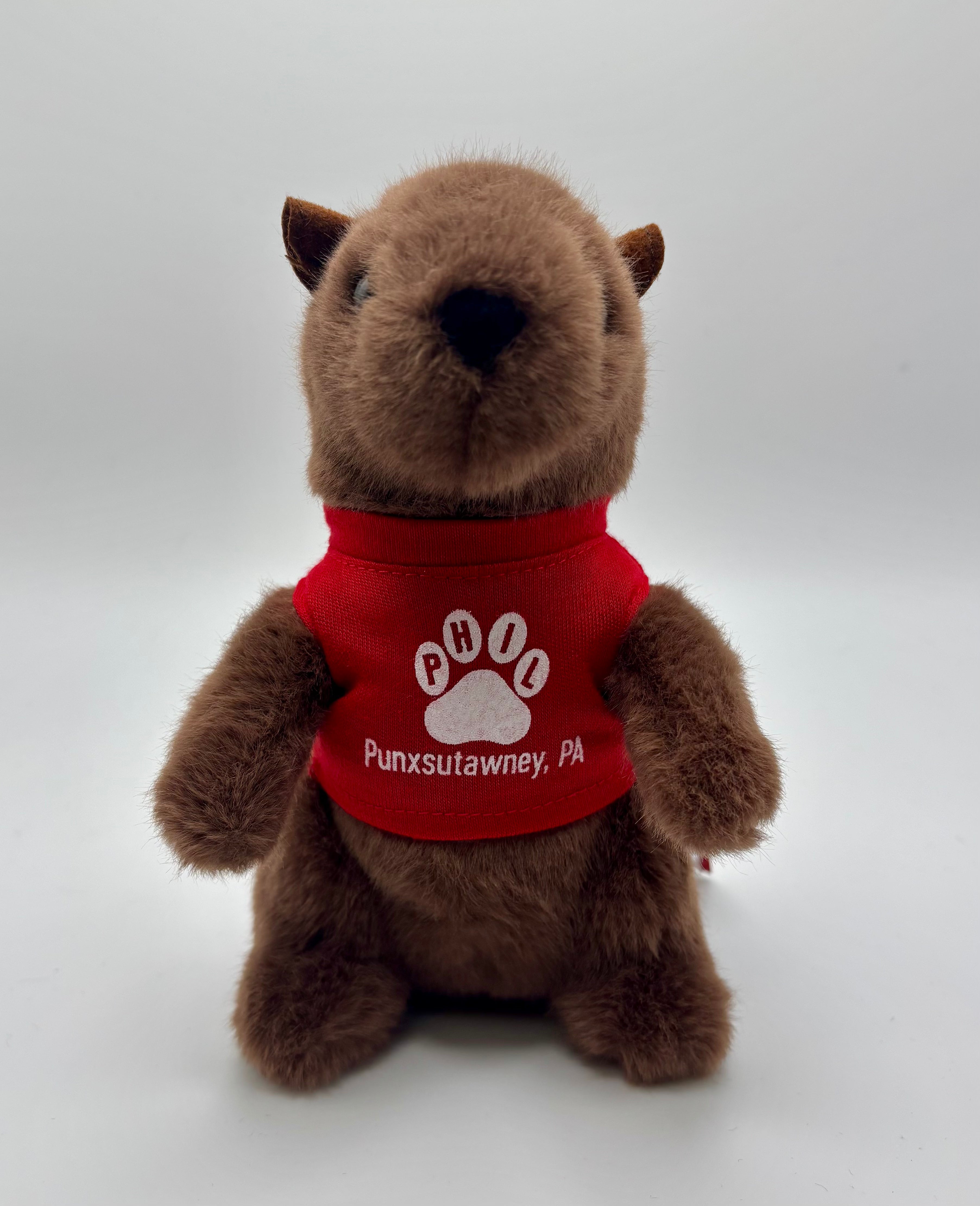 Mr. G Groundhog Plush with T-Shirt – 7 Inch-Groundhog Stuff