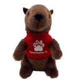Mr. G Groundhog Plush with T-Shirt – 7 Inch