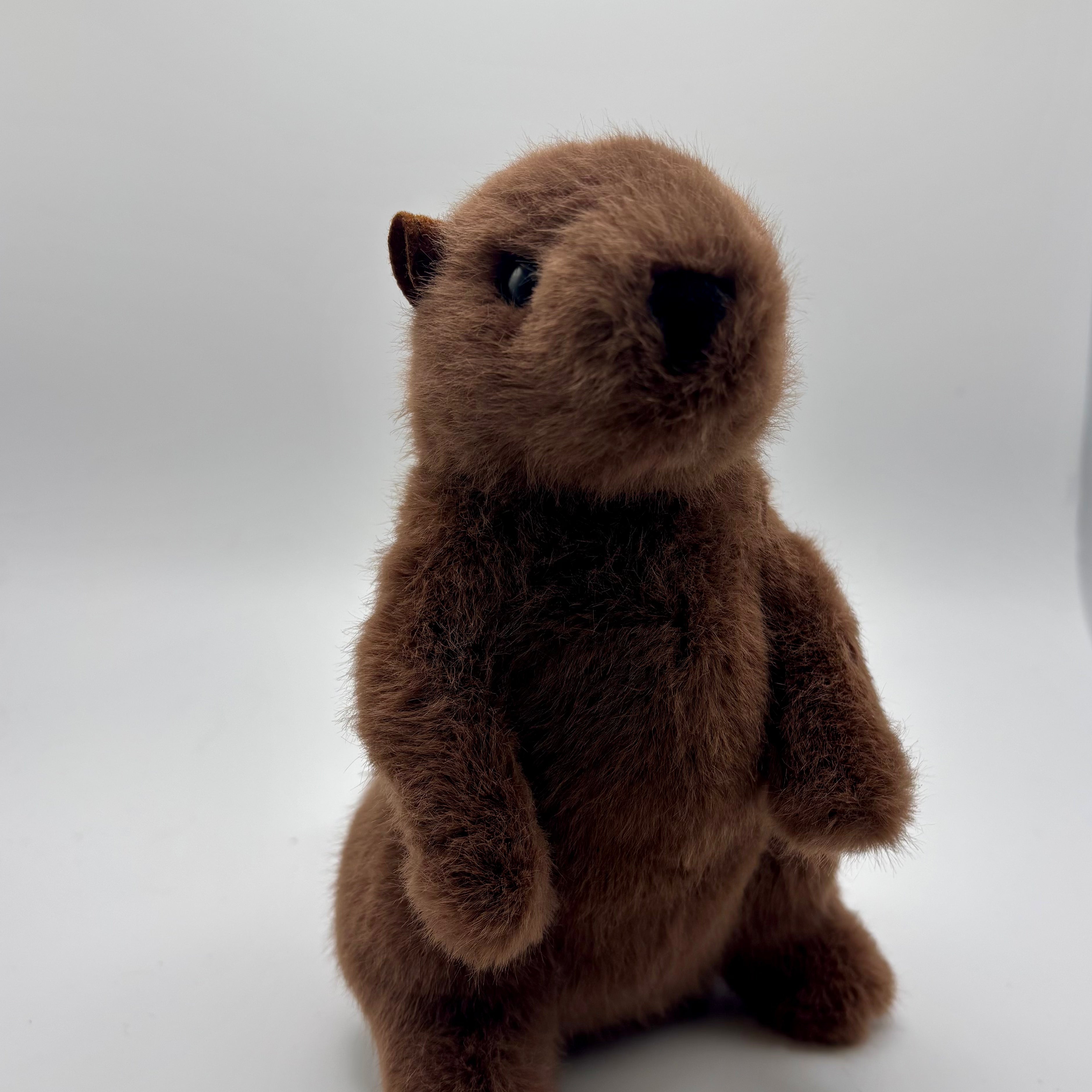 Mr. G Groundhog Plush – 7 Inch-Groundhog Stuff