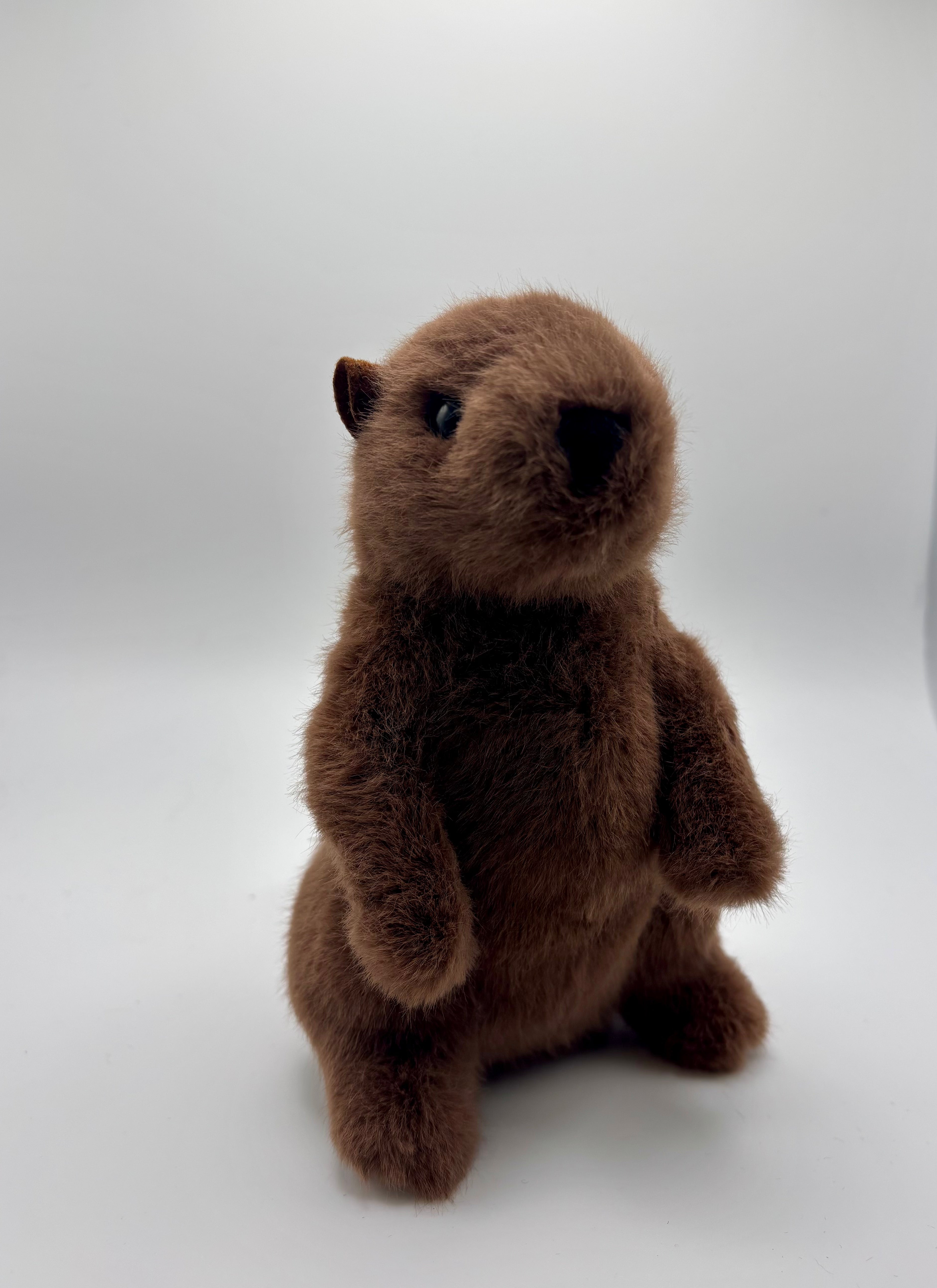 Mr. G Groundhog Plush – 7 Inch-Groundhog Stuff