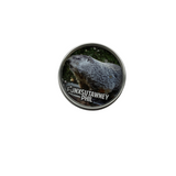 Punxsutawney Phil BB Pocket Puzzle