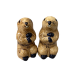 Ceramic Groundhog Salt and Pepper-4 ¼"H