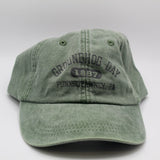 1887 Groundhog Day Hat – Spruce-Groundhog Stuff