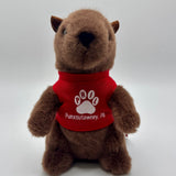 Mr. G Groundhog Plush with T-Shirt – 7 Inch-Groundhog Stuff
