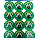 *'PHIL' Groundhog Sticker Pack - 24 Real Photo Stickers