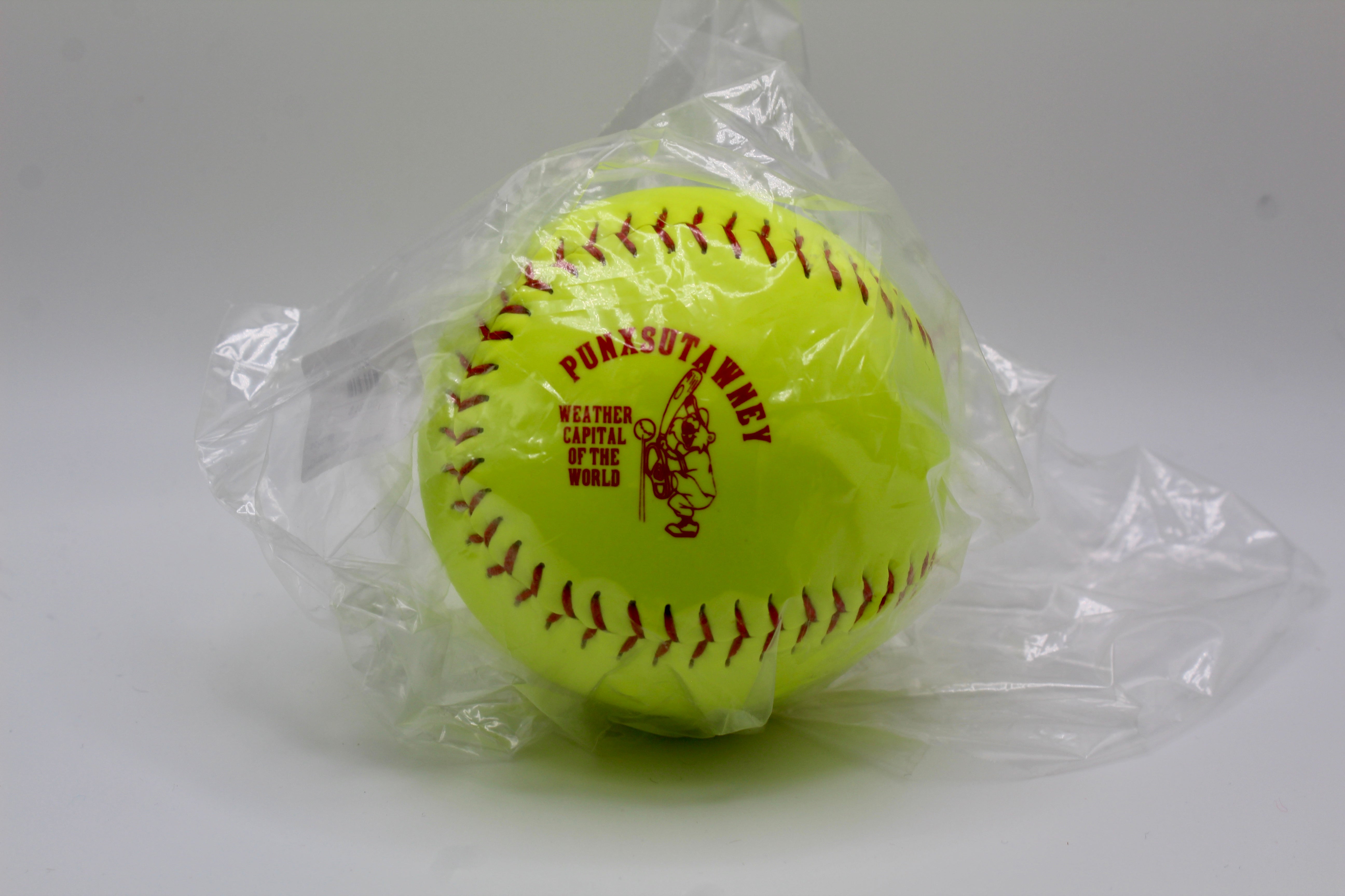 Groundhog Day Girls’ Softball – Punxsutawney-Groundhog Stuff