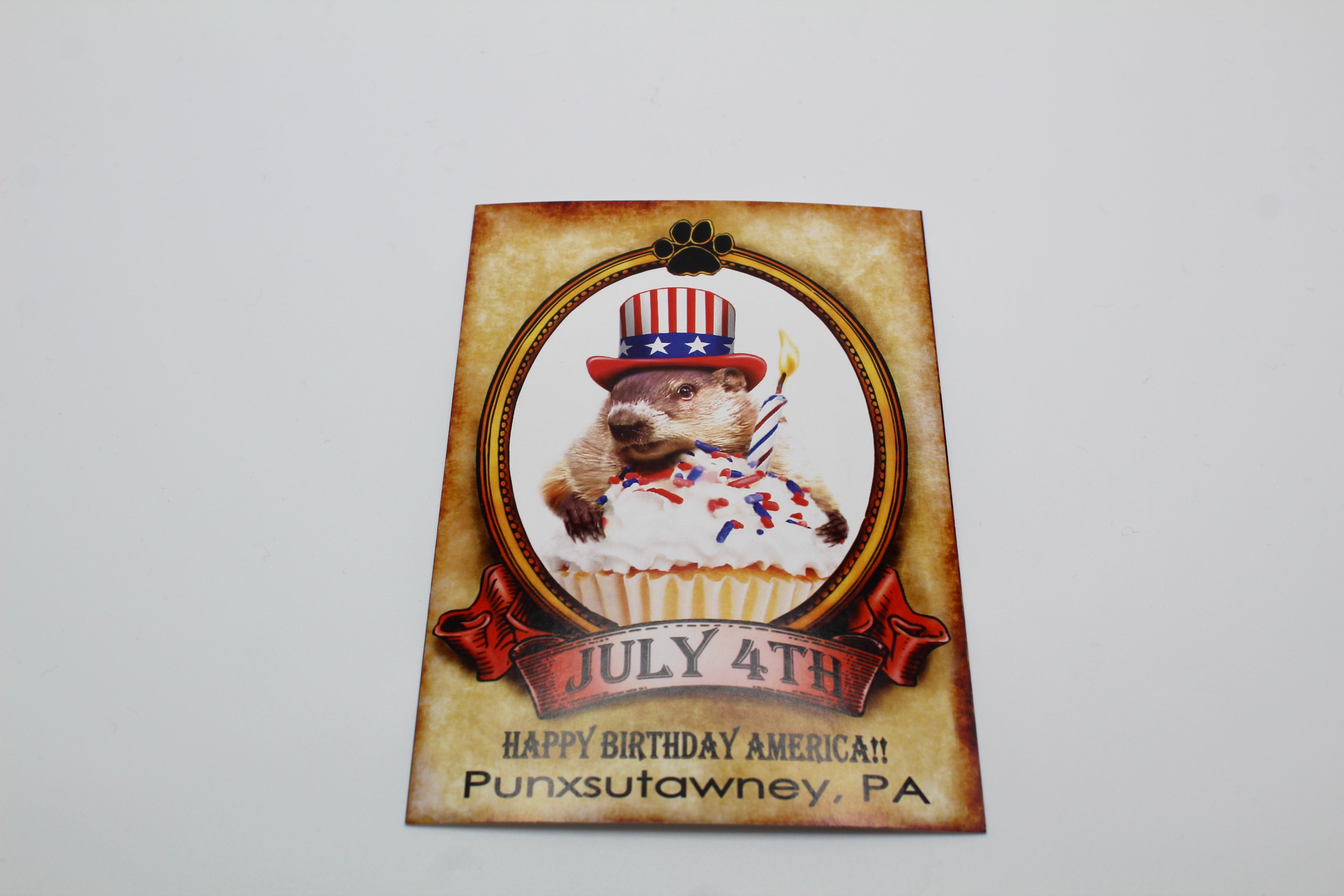 Phil 4th of July Postcard-Groundhog Stuff