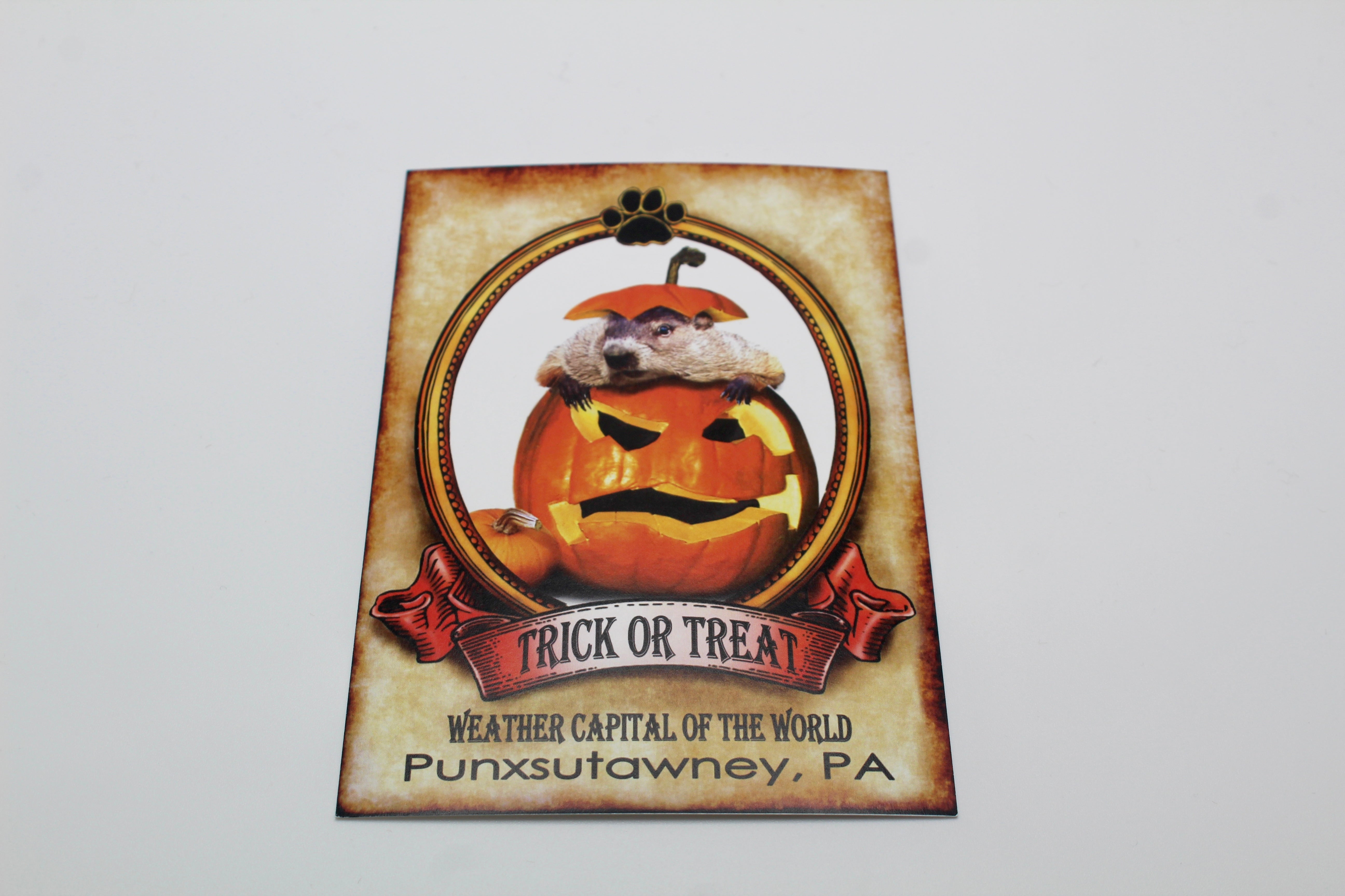 Phil Halloween Postcard-Groundhog Stuff