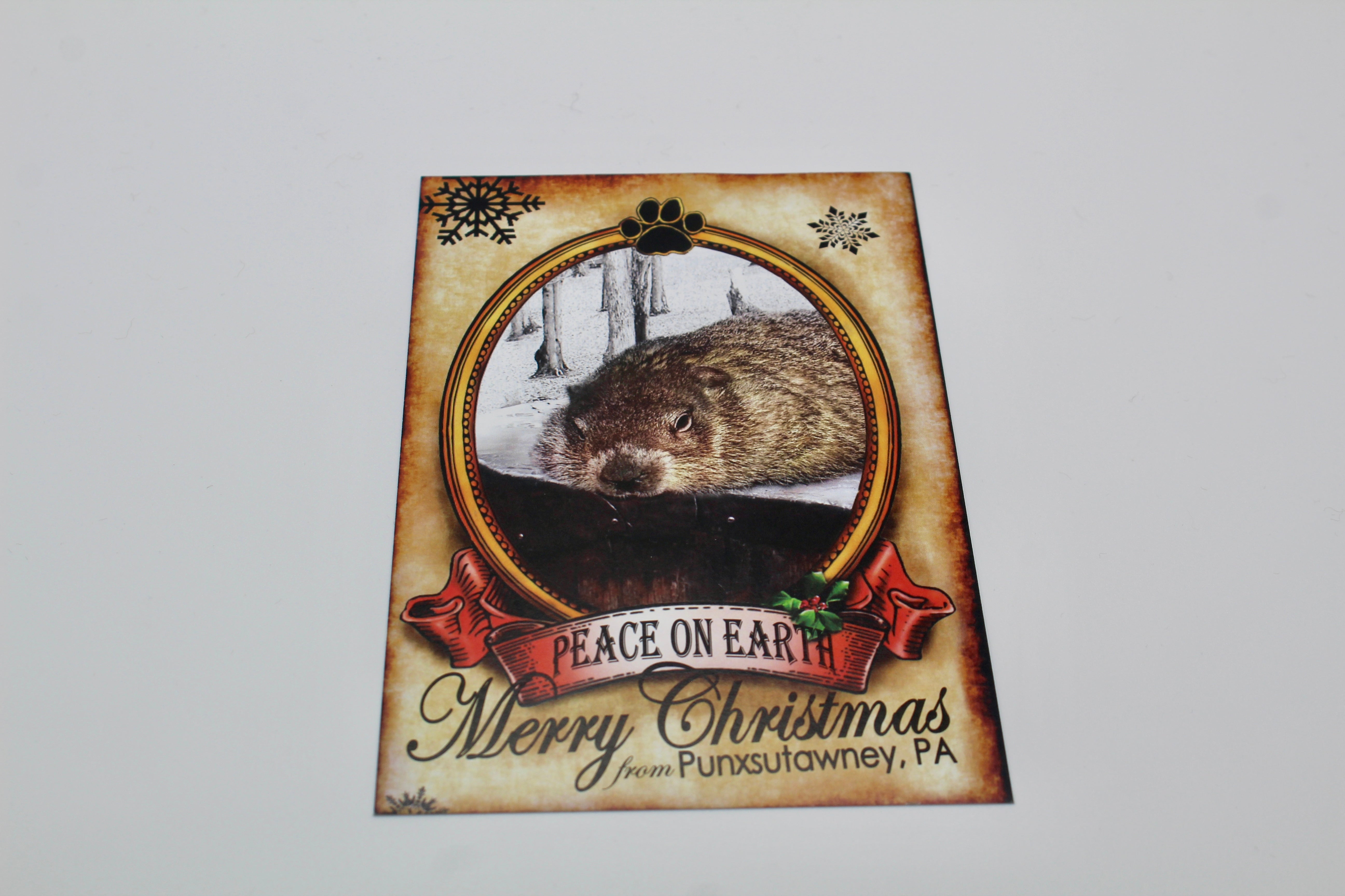 Phil Merry Christmas Postcard-Groundhog Stuff
