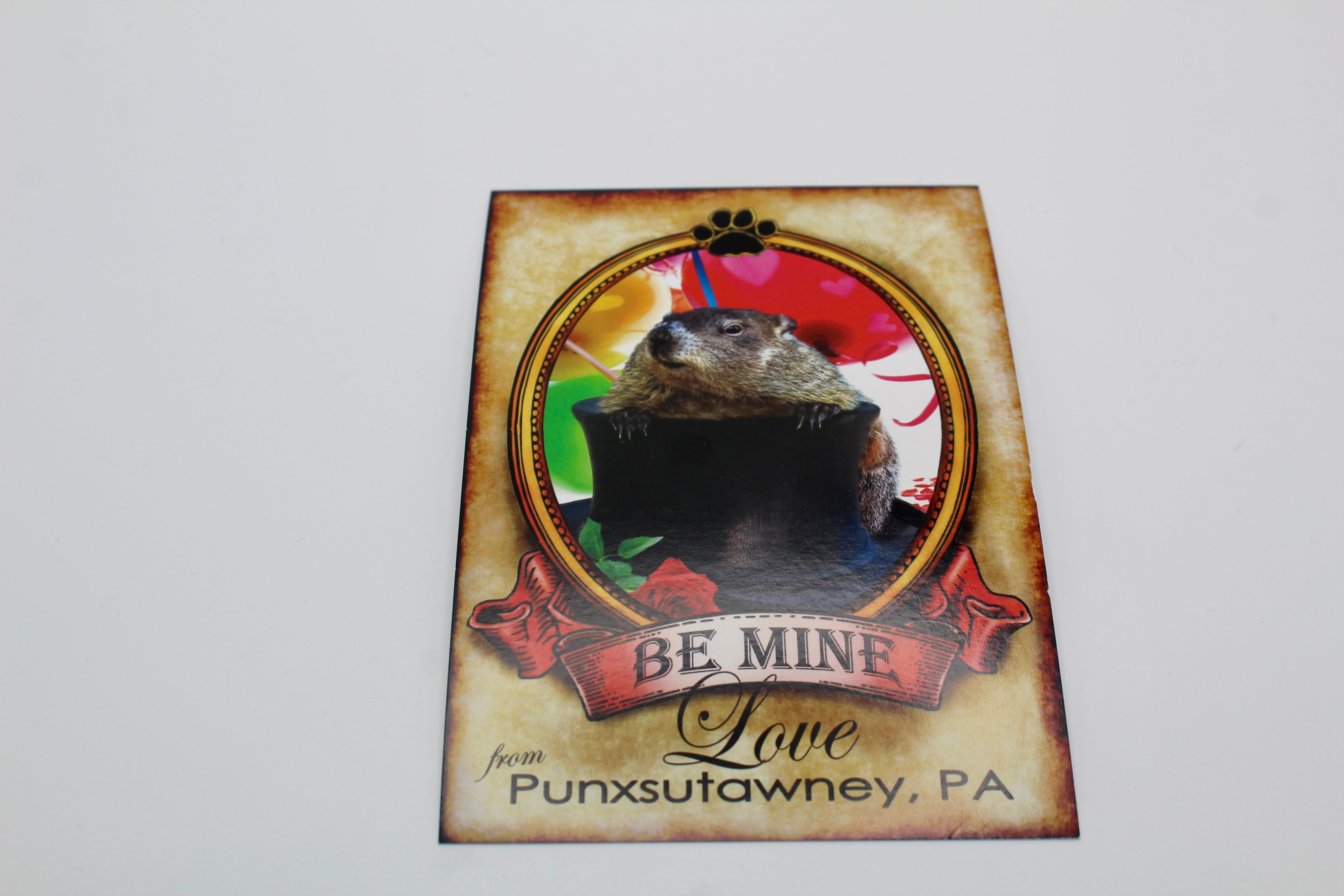 Phil Valentine's Day Postcard-Groundhog Stuff
