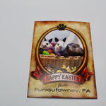 Phil Easter Postcard-Groundhog Stuff