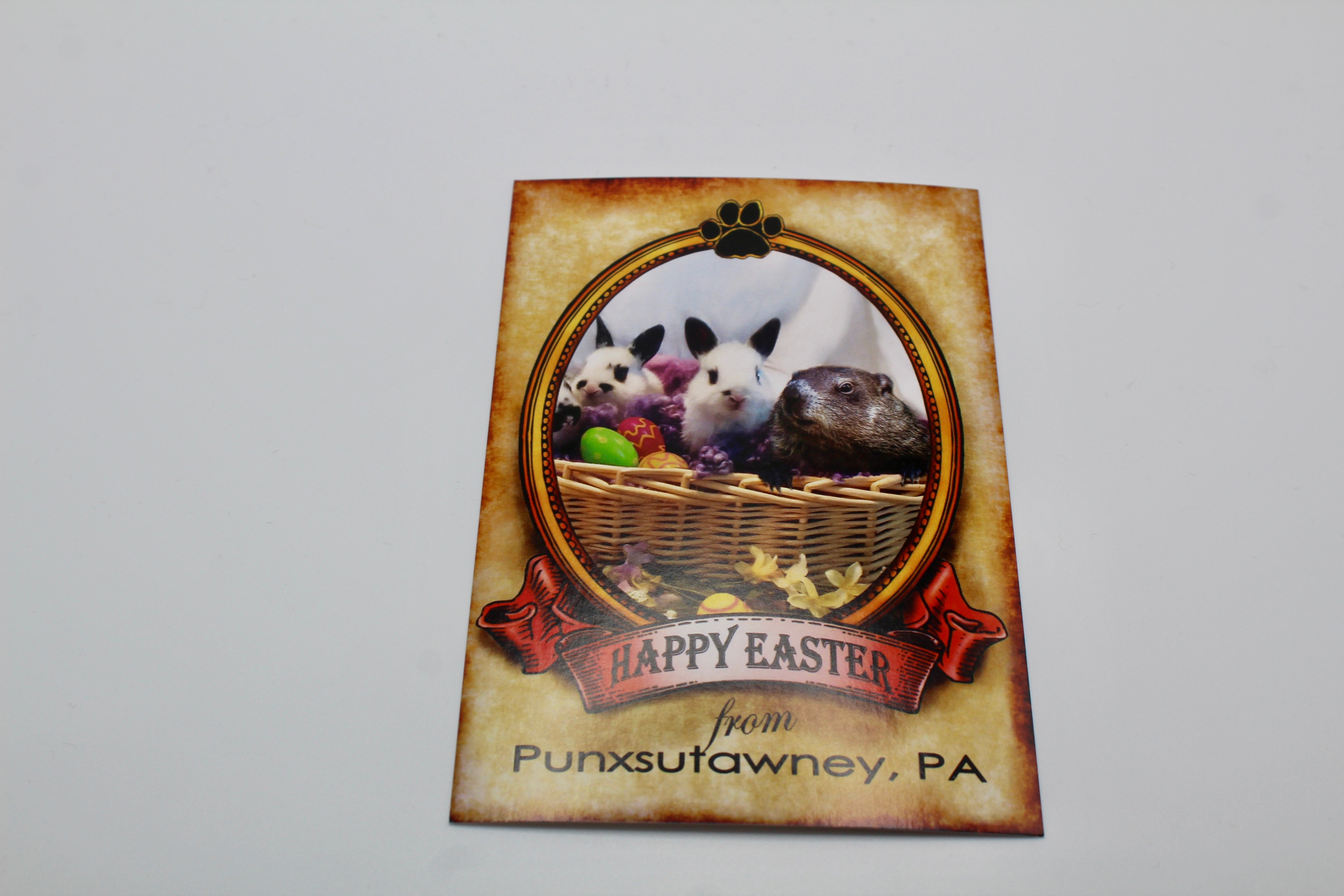 Phil Easter Postcard-Groundhog Stuff