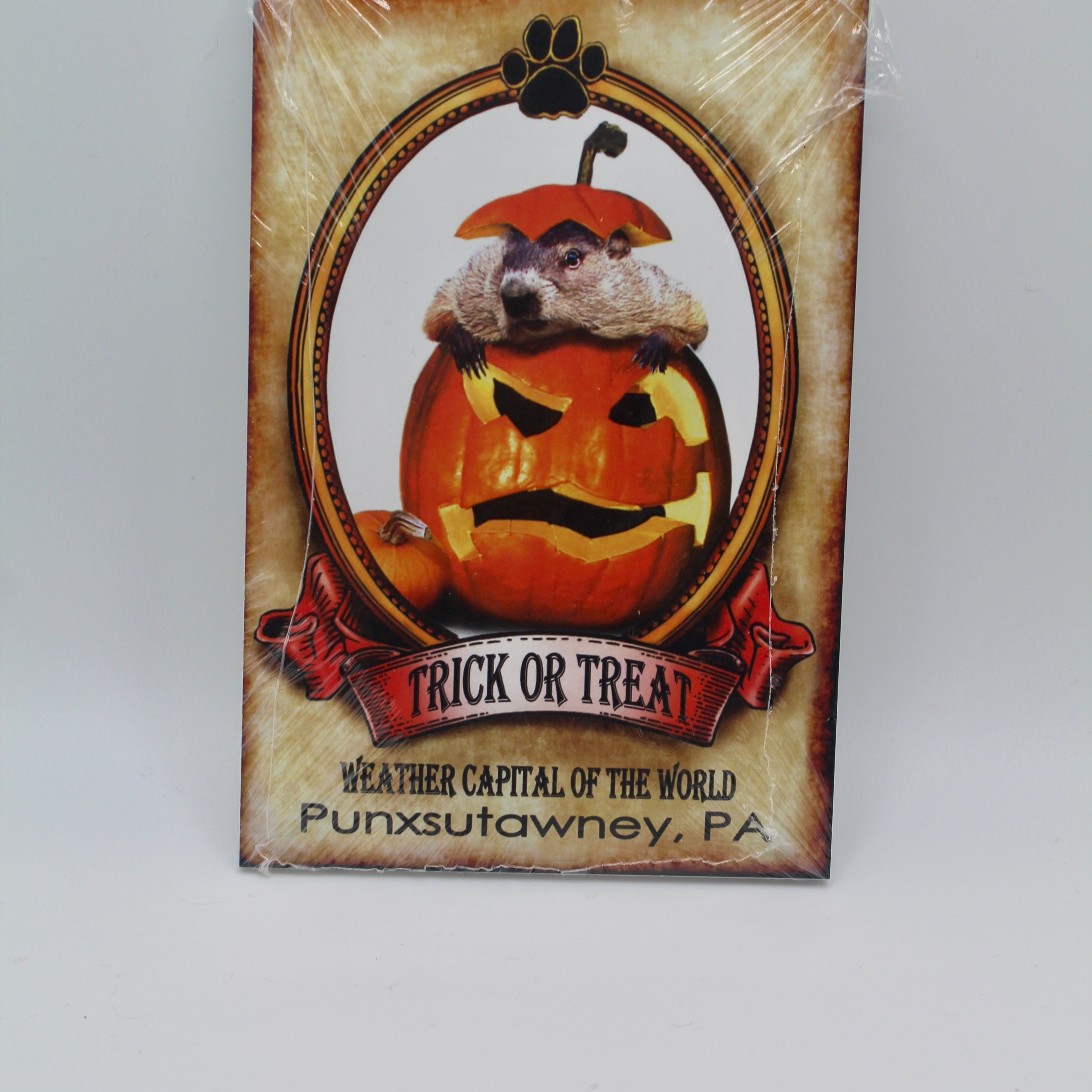 Holiday Phil Postcard Pack – 14 Cards (7 Holidays)-Groundhog Stuff