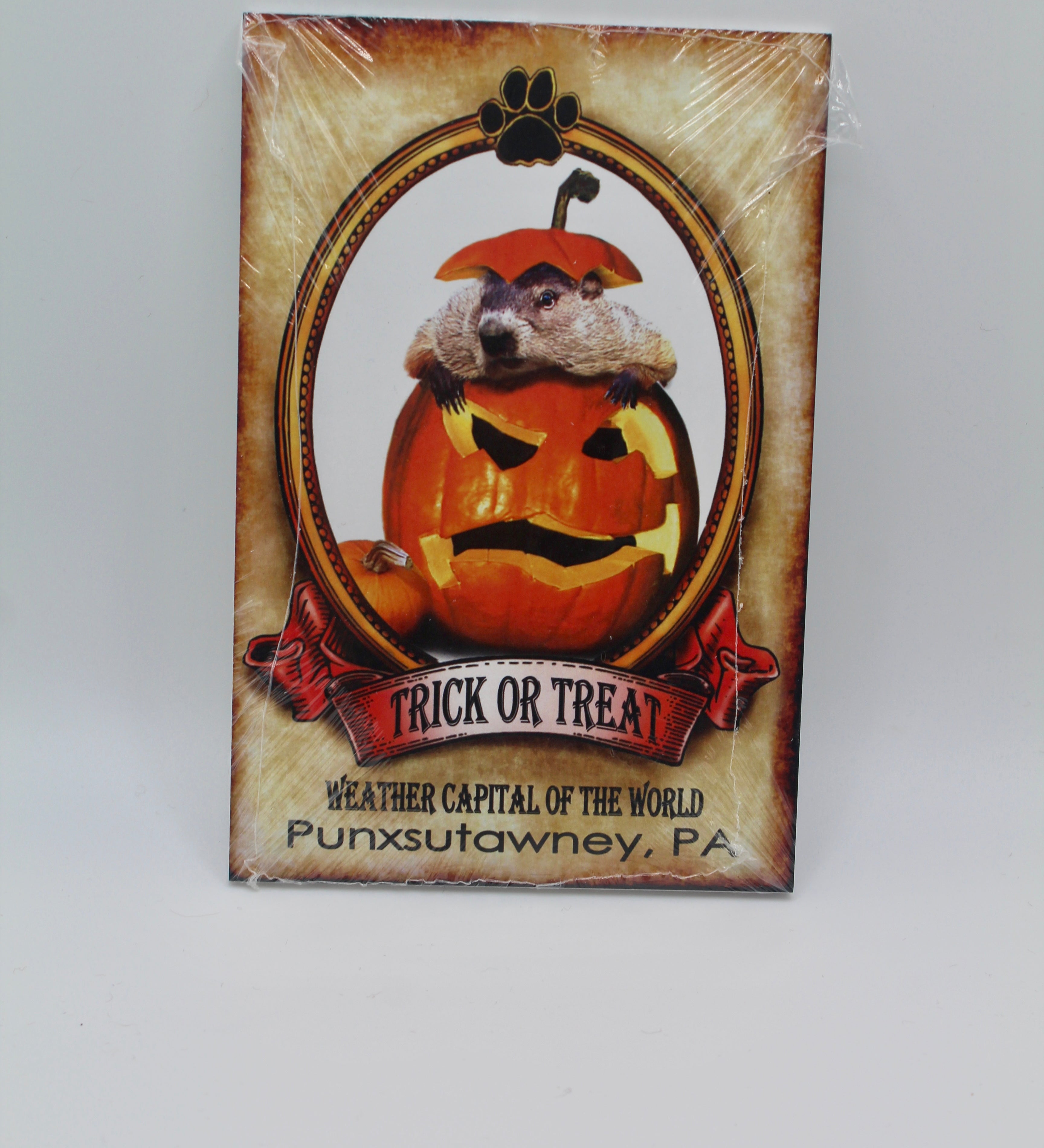 Holiday Phil Postcard Pack – 14 Cards (7 Holidays)-Groundhog Stuff