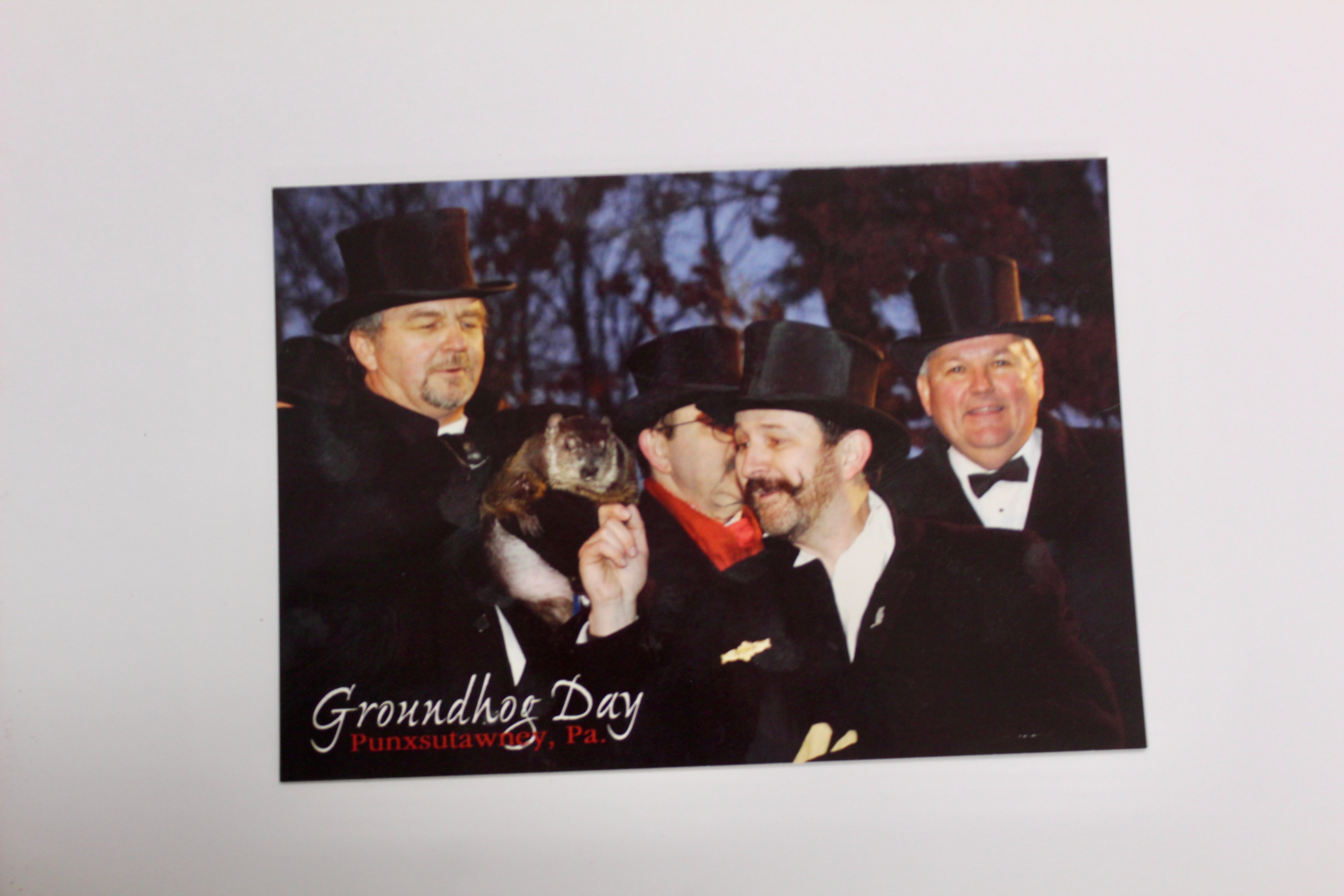 Postcard - Gobblers Knob-Groundhog Stuff