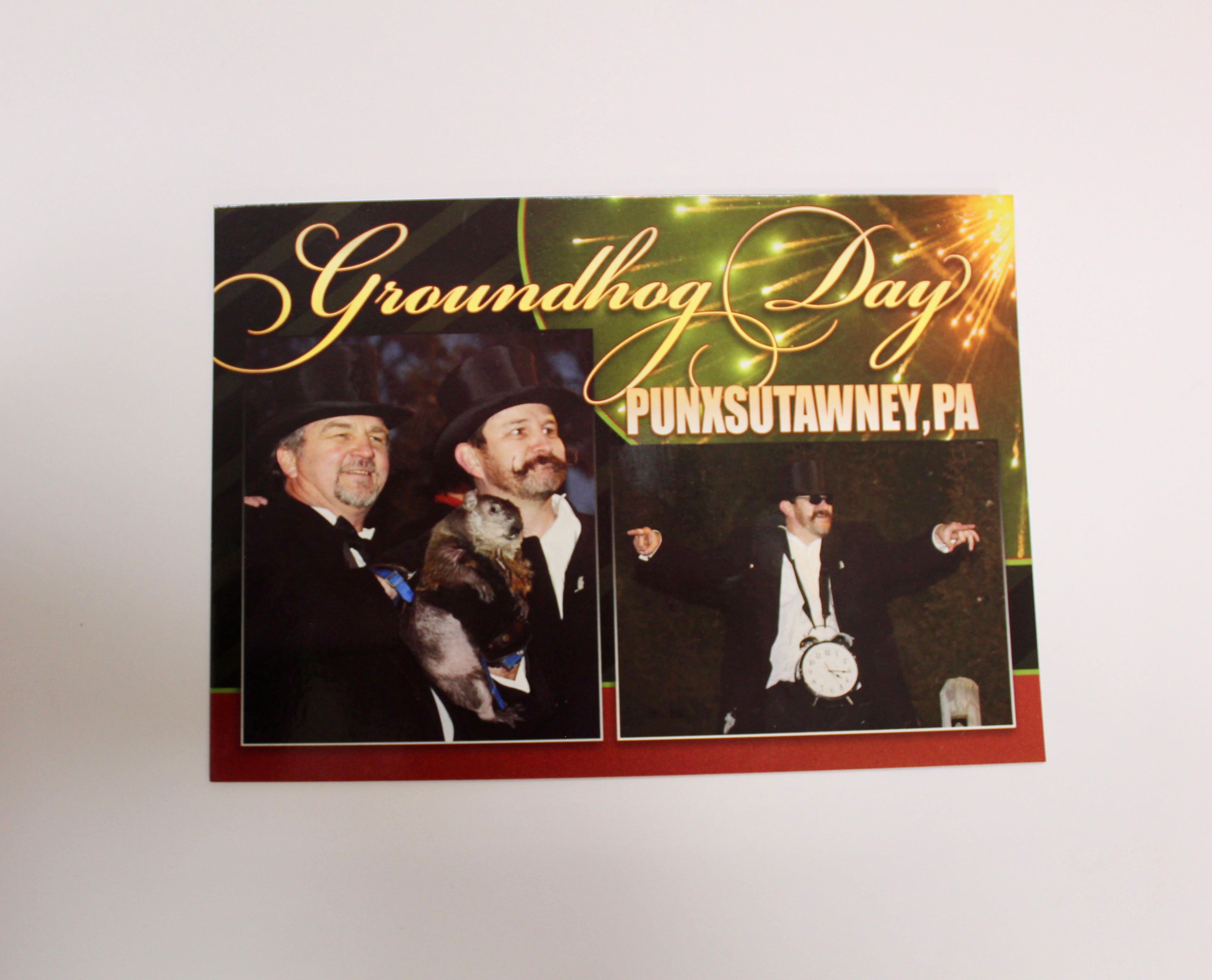 Postcard - Phil and Handlers at Gobbler's Knob-Groundhog Stuff