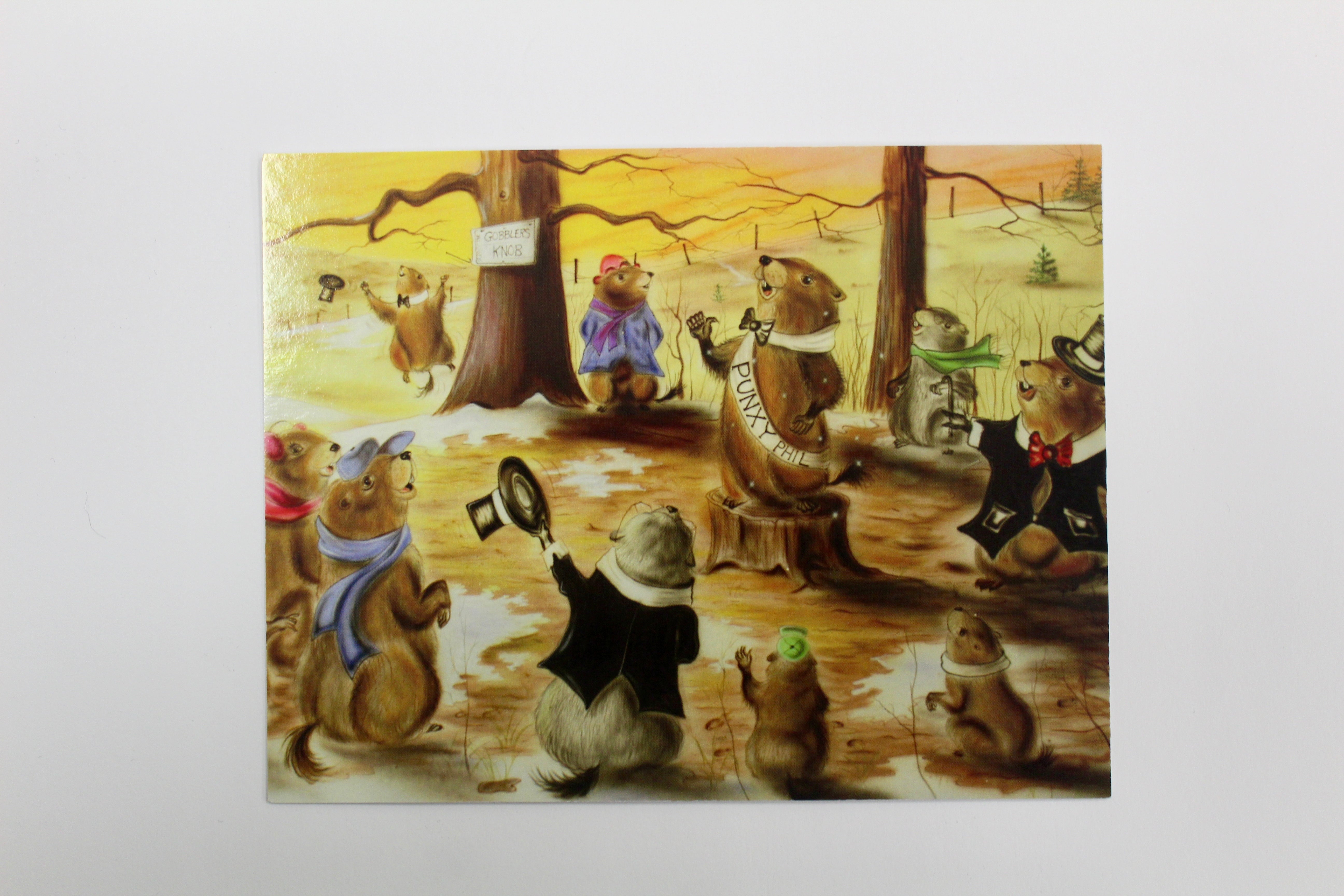 Postcard – Groundhog at the Knob-Groundhog Stuff
