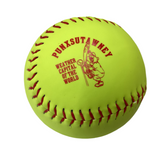 *Groundhog Day Girls’ Softball – Punxsutawney