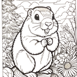 *Coloring Poster-Cute Phil