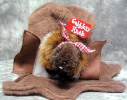 Phil Stump Hat- Groundhog Stuff