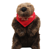 Plush Phil Groundhog with Red Bandana – 11 Inch