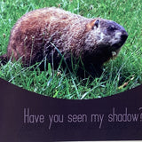 Have you Seen My Shadow Card-1015845