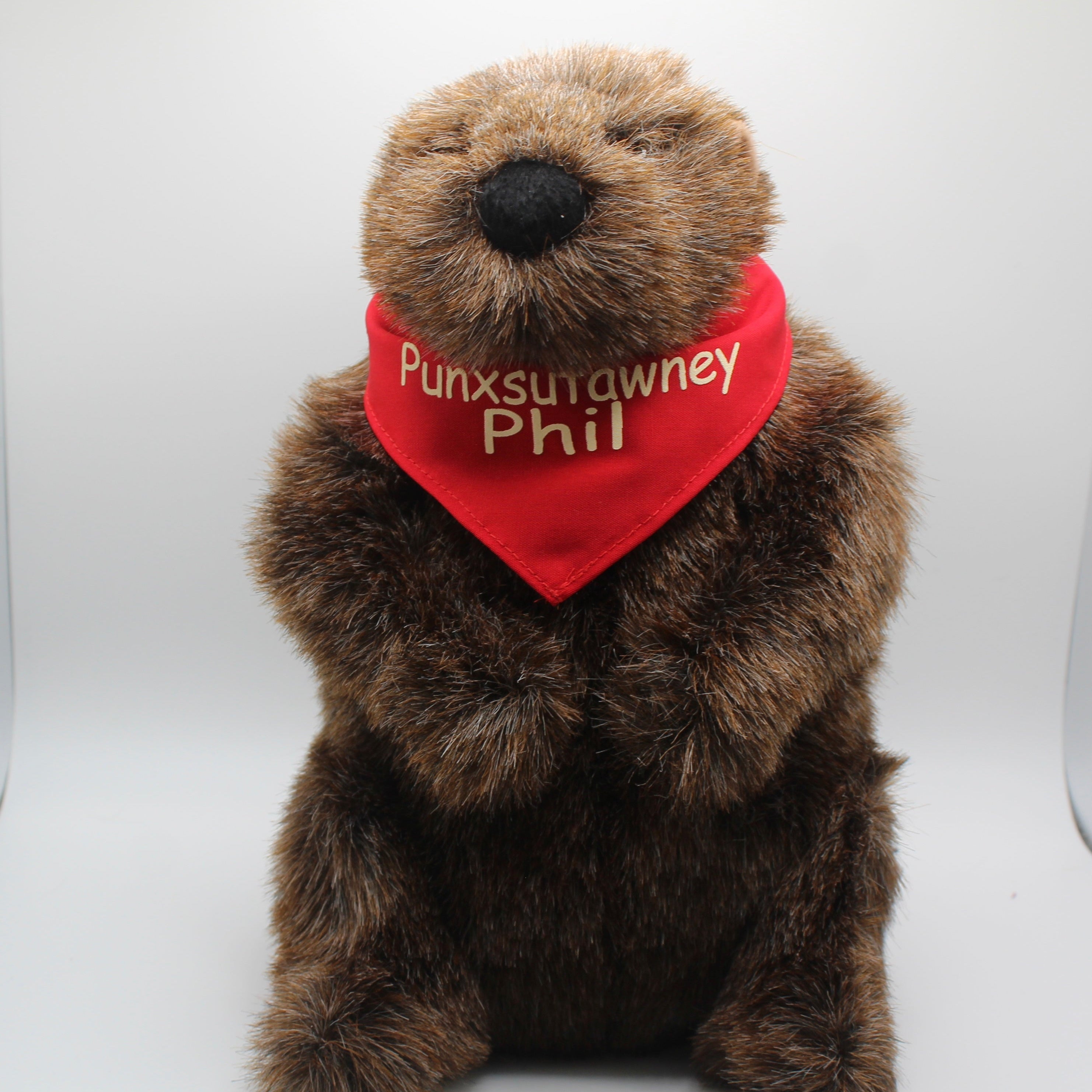 Plush Phil Groundhog with Red Bandana – 11 Inch-Groundhog Stuff
