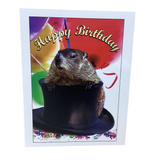 Feb 2nd Happy Bday Card