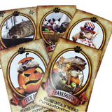 *Holiday Phil Postcard Pack – 14 Cards (7 Holidays)