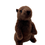 Mr. G Groundhog Plush – 7 Inch