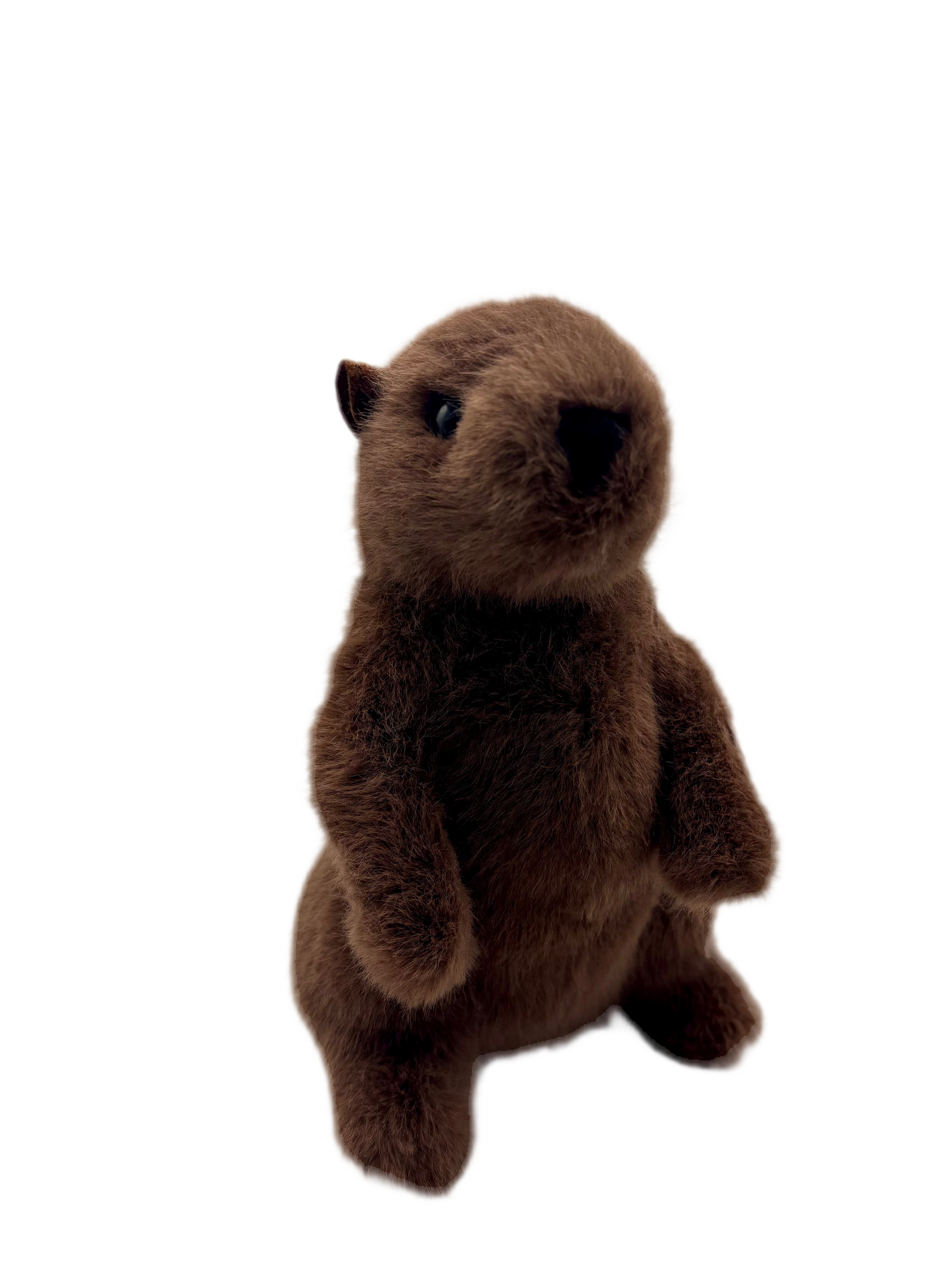 Mr. G Groundhog Plush – 7 Inch Stuffed Toy – Punxsutawney Phil's
