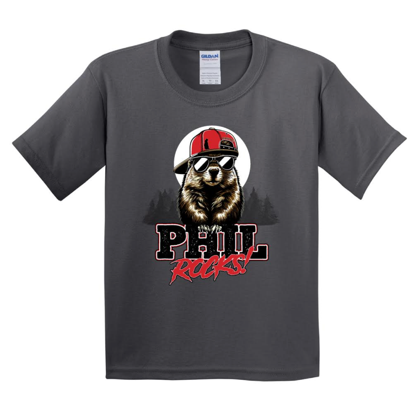 Youth Phil Rocks T-Shirt - Gray-Groundhog Stuff