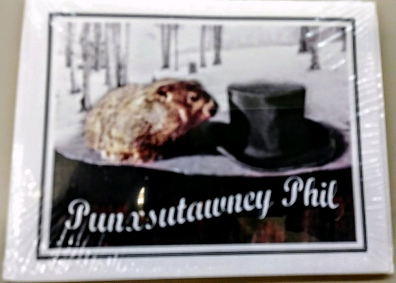 Phil Notecard Pack – Blank Inside (5 Count)-Groundhog Stuff
