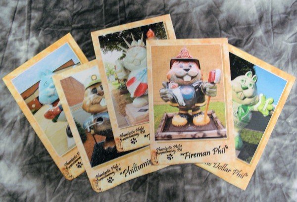Phantastic Phil Postcard – Assorted Designs-Groundhog Stuff