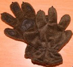 Phil Paws-brown- Groundhog Stuff